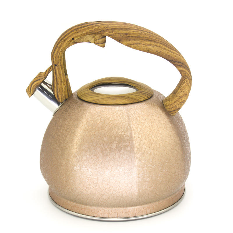 IT-CP1023 europe style stainless steel tea whistling kettle for Hotel Kitchen