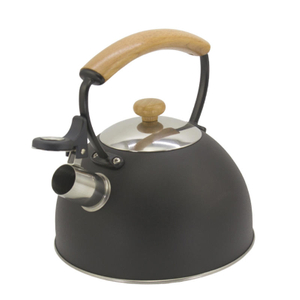 color painting stainless steel whistling coffee tea water kettle