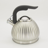 IT-CO1013 OEM Customized stainless steel whistling tea kettle water kettles