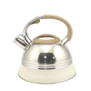IT-CO1013 High Quality Silver Color Painting stainless steel whistling tea kettle