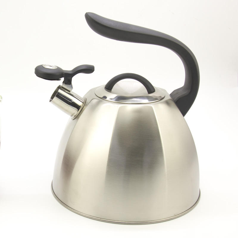 stainless steel whistling tea kettle