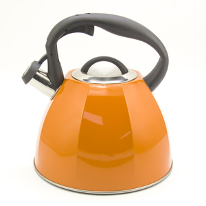 IT-CP1016 High Quality Silver Color Painting stainless steel whistling tea kettle