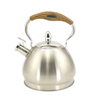 IT-CO1013 OEM Customized stainless steel whistling tea kettle water kettles