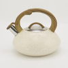 IT-CP1041 Hot Water OEM Customized Economic Kettle whistling kettle tea kettle