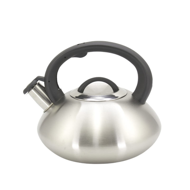 IT-CP1041 Hot Water OEM Customized Economic Kettle whistling kettle tea kettle