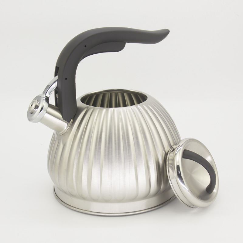 stainless steel tea pot