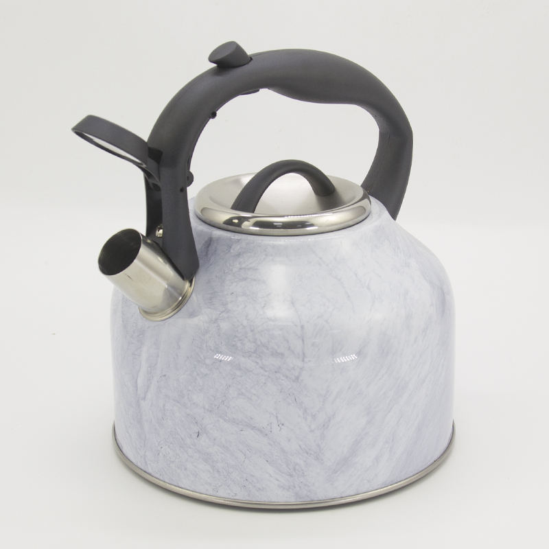 whistle tea kettle stainless steel