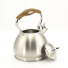 IT-CP1061 Whistling Kettle Elegant appearance stainless steel whistling water kettles whistling kettle