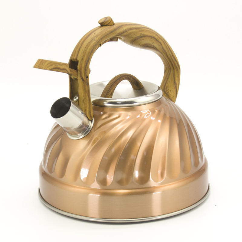 IT-CP1035 Economic Kettle camping Color Painting whistling kettle tea kettle