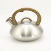 IT-CP1041 Hot Water OEM Customized Economic Kettle whistling kettle tea kettle