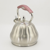 IT-CP1044 Wholesale Daily Use OEM Customized Color Painting whistling kettle tea kettle