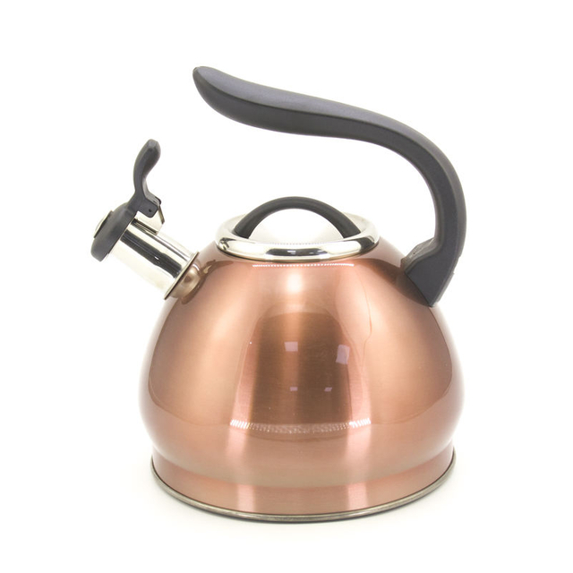 IT-CP1053 europe style stainless steel tea whistling kettle For Teapots