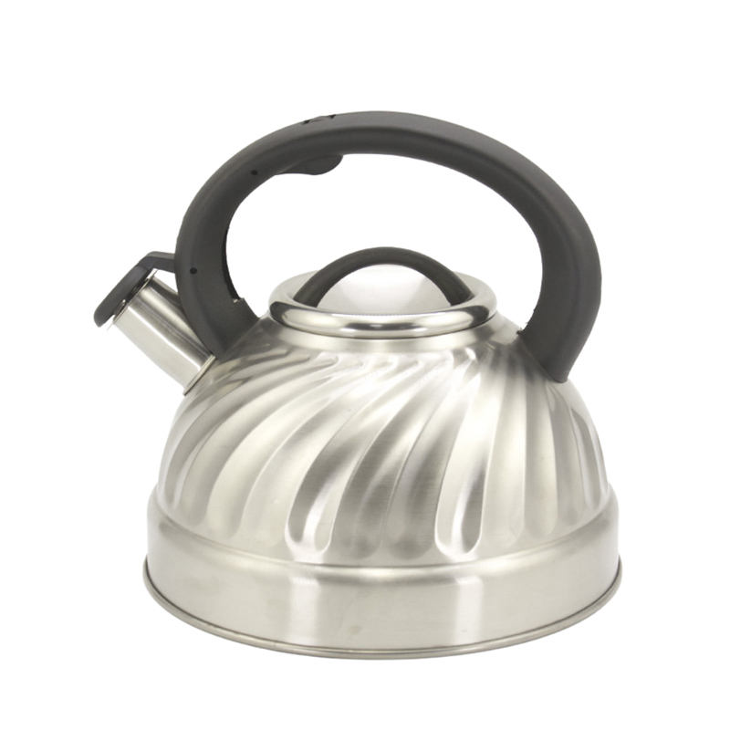 best stainless steel tea kettle