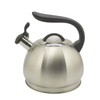 IT-CO1019 Silver High Quality Silver Color Painting stainless steel whistling tea kettle