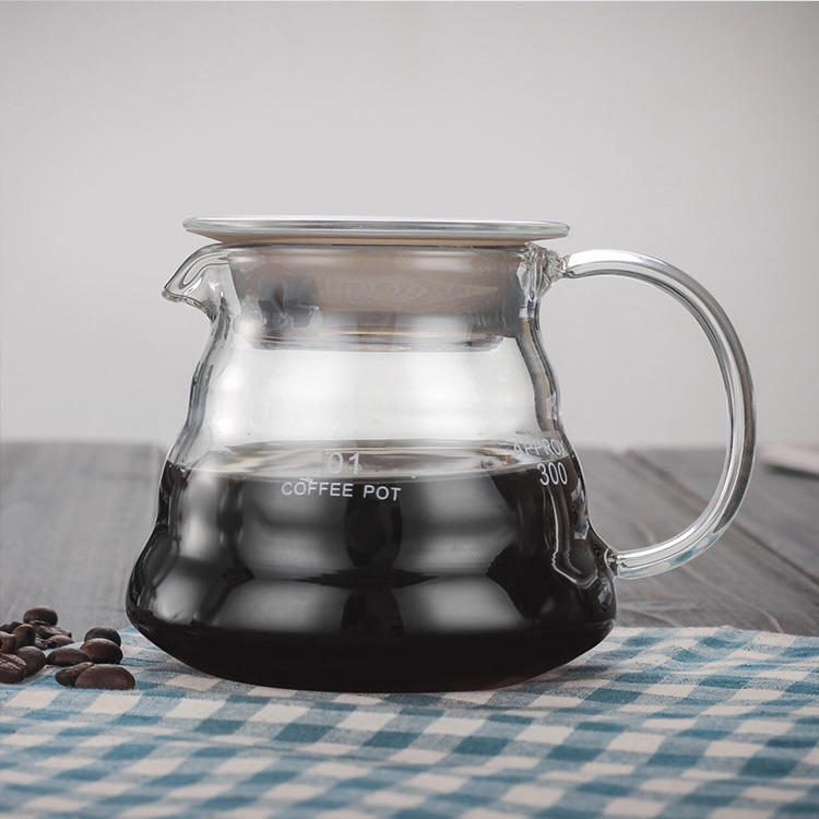 Coffee Pot Hand Drip Glass Coffee Server Tea Kettle