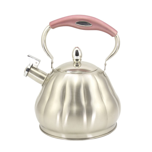 IT-CP1044 Wholesale Daily Use OEM Customized Color Painting whistling kettle tea kettle