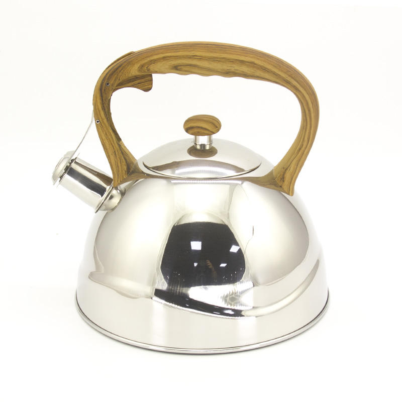 color painting stainless steel whistling coffee tea water kettle
