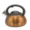 IT-CP1047 europe style desktop usage condition kettle stainless steel tea whistling kettle