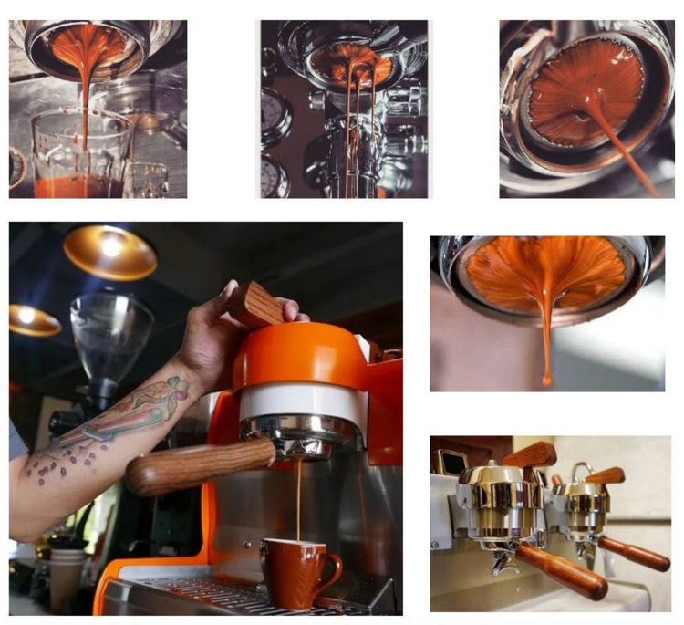 breville barista express filter
