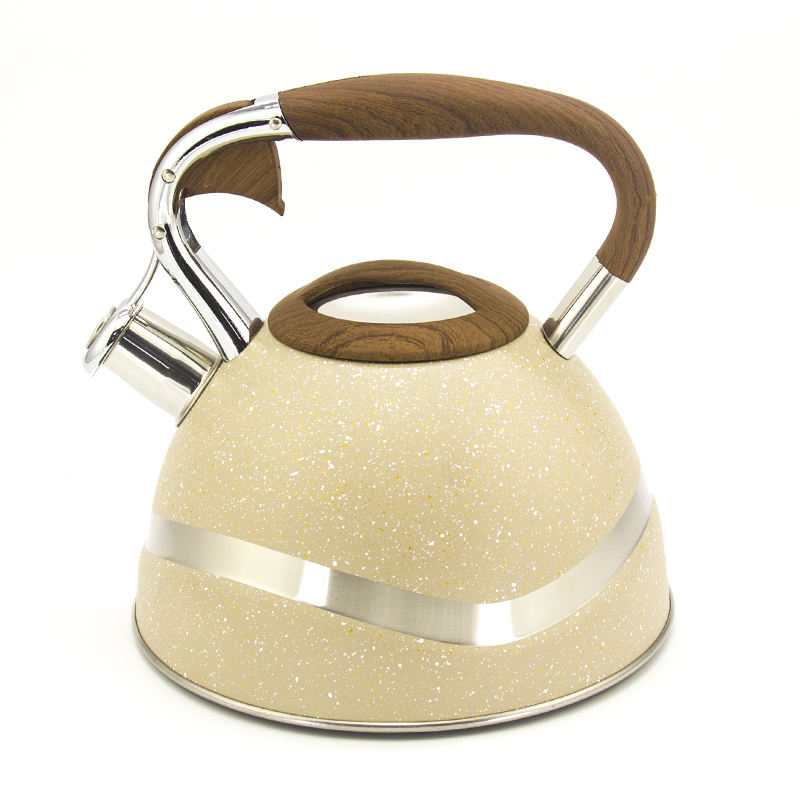 IT-CP1028 High Quality camping Color Painting whistling kettle tea kettle