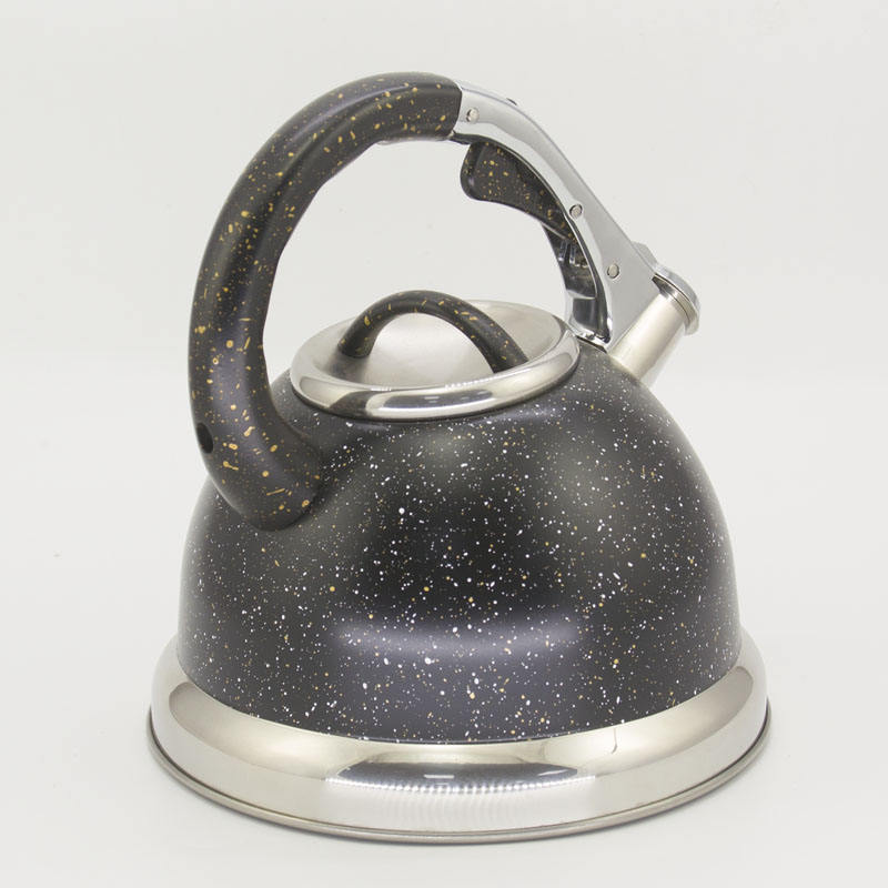 stainless steal tea pot