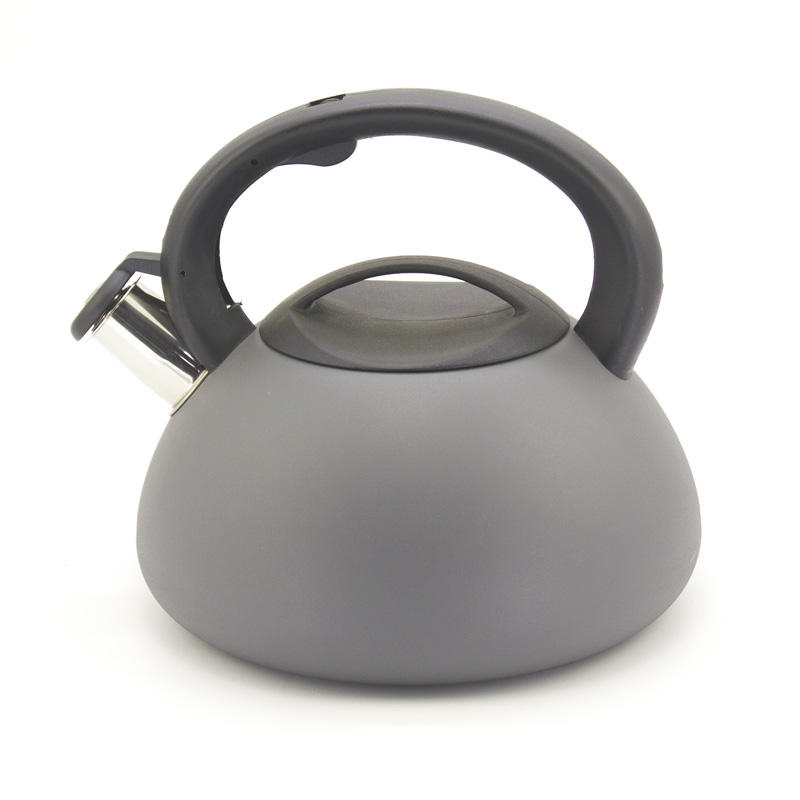 stainless steel stove top kettle