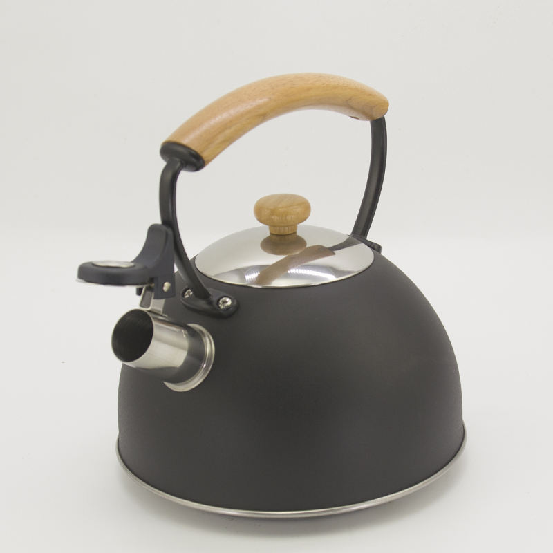 IT-CP1027 Heater Color Painting whistling kettle with handle