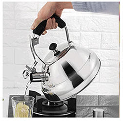 IT-CO1013 High Quality Silver Color Painting stainless steel whistling tea kettle