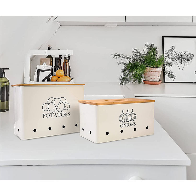 storage bins with lid