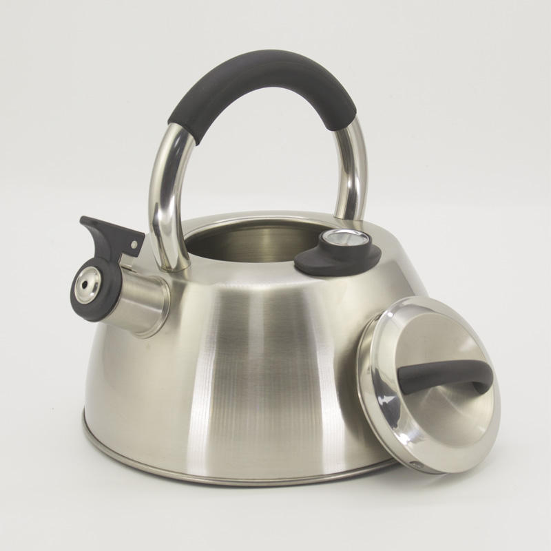 stainless steal tea pot