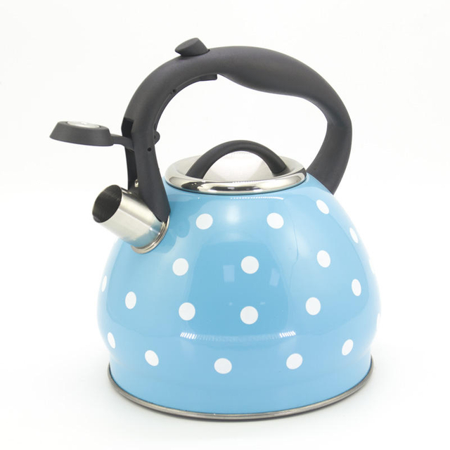 IT-CP1048 europe style stainless steel tea whistling kettle for Hotel Kitchen