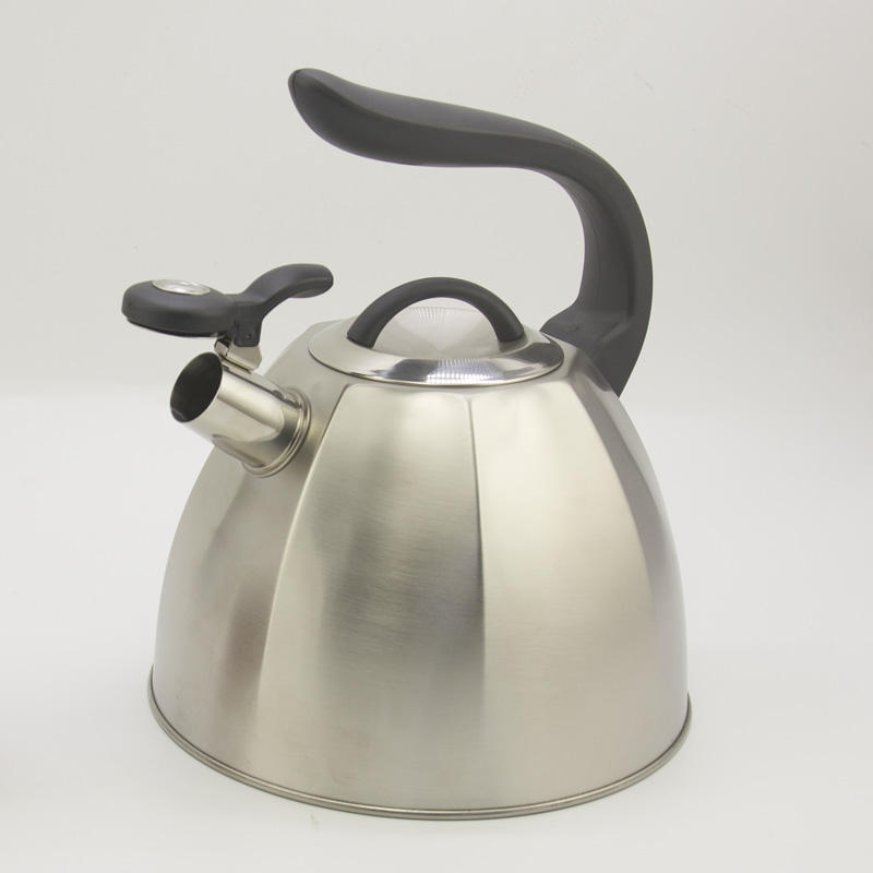IT-CP1017 High Quality Silver Color Painting stainless steel whistling tea kettle For Promotional Gift