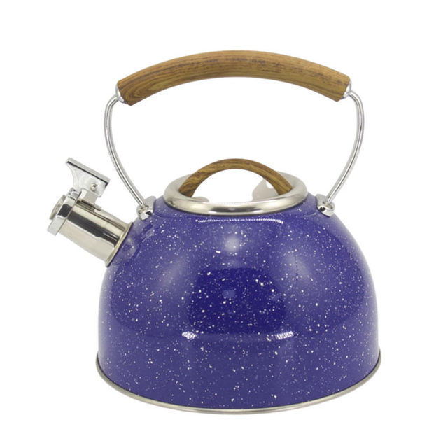IT-CP1028 High Quality camping Color Painting whistling kettle tea kettle