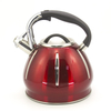 IT-CP1040 coffee kettle OEM Customized Color Painting whistling kettle tea kettle